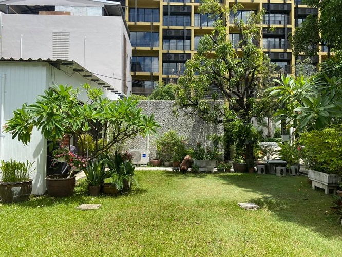 Cozy Thai style house with greenery 3 Bedroom Ruamrudee Ploenchit