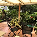 Garden unit one bedroom for rent Bangkok