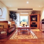 Pet Friendly Corner Unit 3 Bedroom Condo Sale Silom Saladaeng